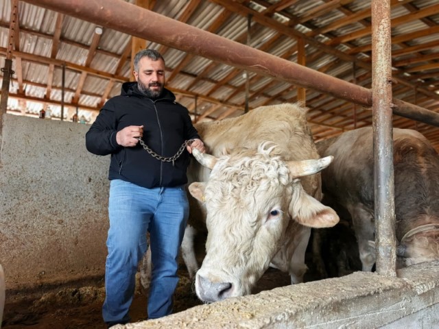 Tonluk ’Paşa’ 500 bin lira