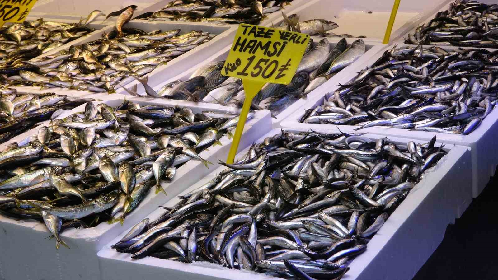 Balık av sezonu biterken, balık&ccedil;ılar sezonu değerlendirdi
