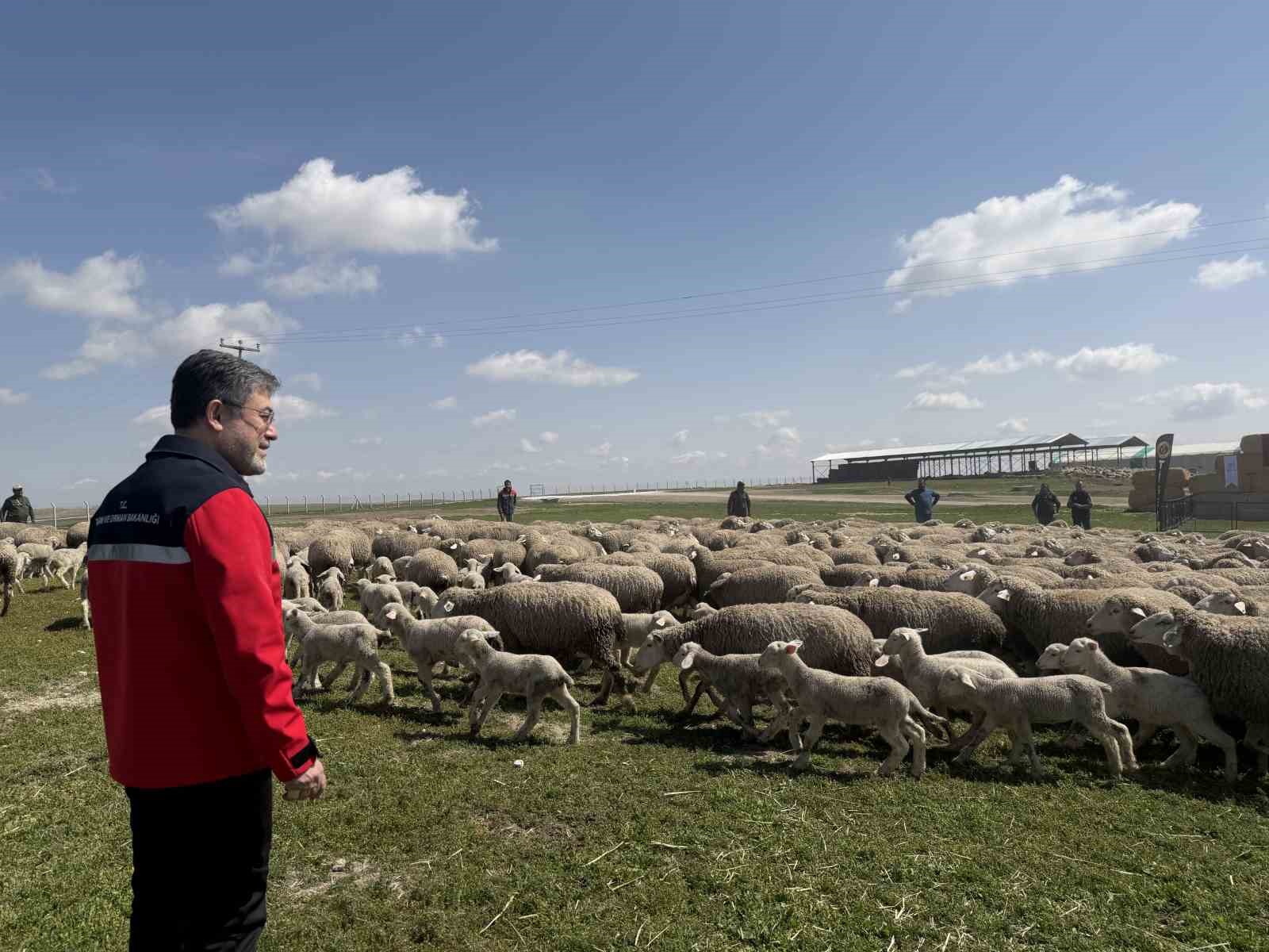 Bakan Yumaklı: (Kırsalda Bereket K&uuml;&ccedil;&uuml;kbaşa Destek Projesi) "En iyi ırkın oluşturulması i&ccedil;in &ccedil;alışılmış s&uuml;r&uuml;lerden verilecek"
