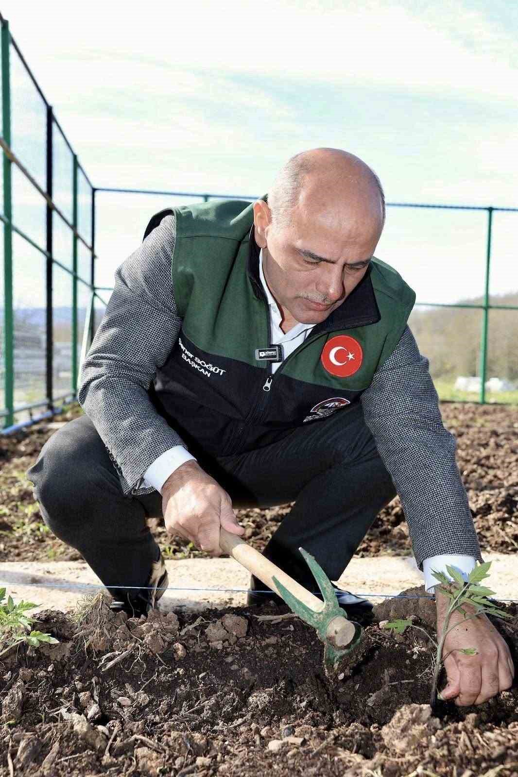 Kendi kompost gübresini üreten belediyeden "ata tohumu" hamlesi