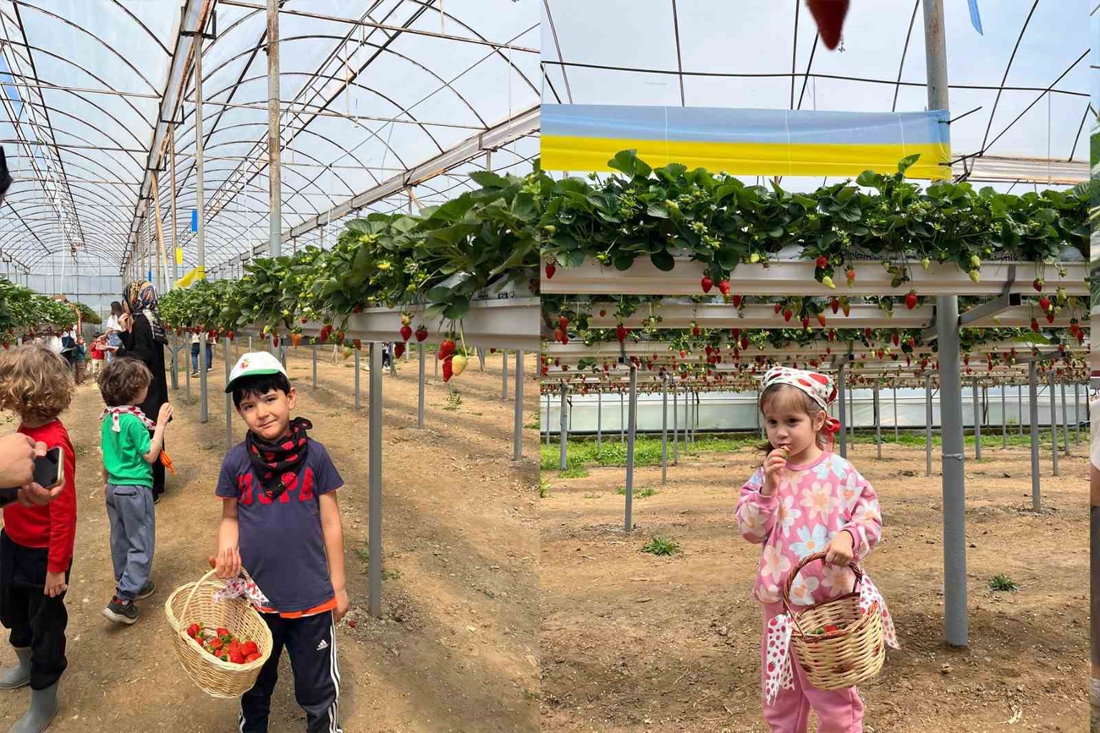 ALKÜ’lü minikler fidan dikip çilek topladı