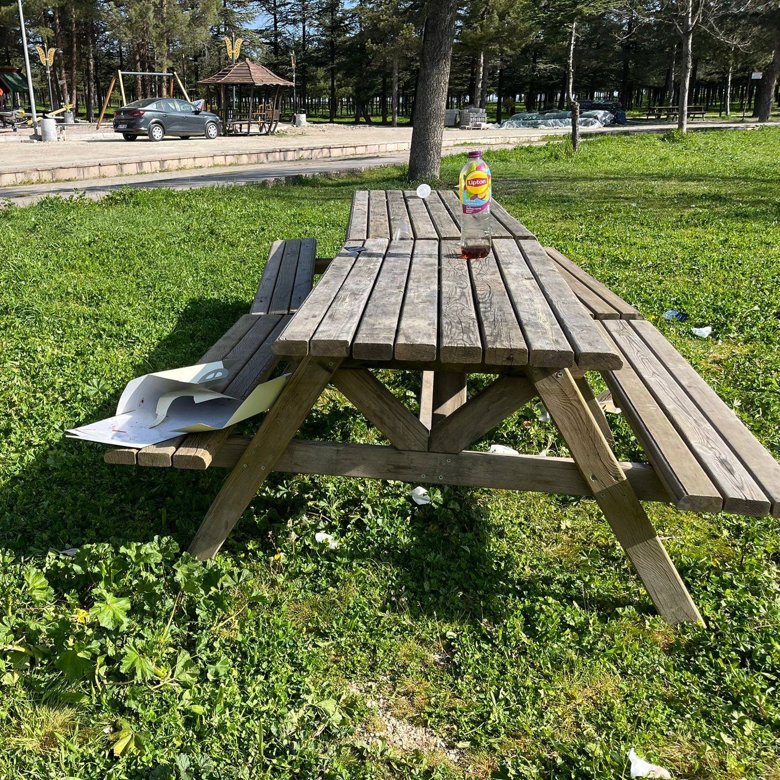 Tarihi alan &ccedil;&ouml;pl&uuml;ğe d&ouml;nd&uuml;
