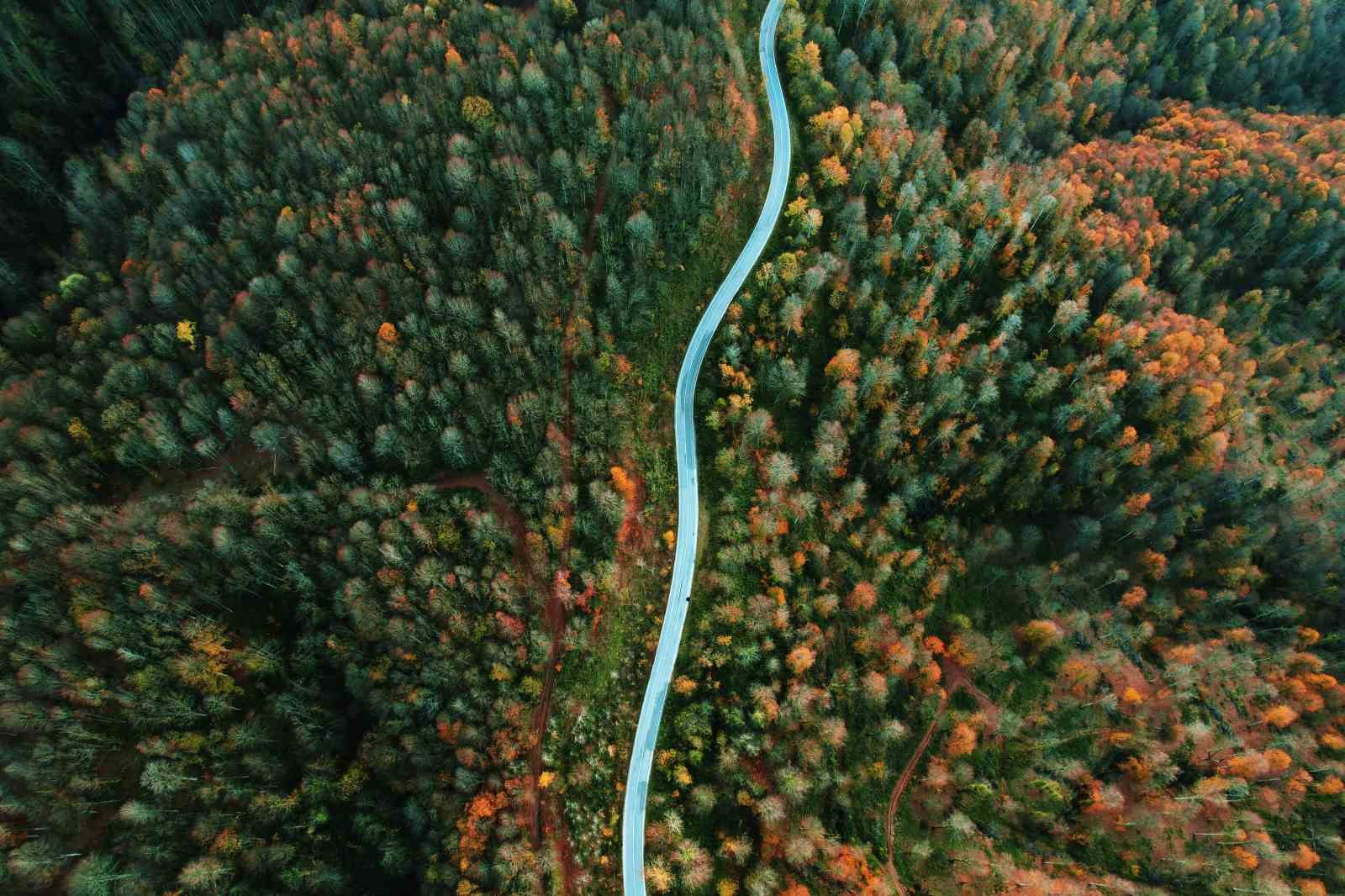 Sakarya turizmde hedeflerini b&uuml;y&uuml;t&uuml;yor: 2025&rsquo;te 1,6 milyon turisti ağırladı
