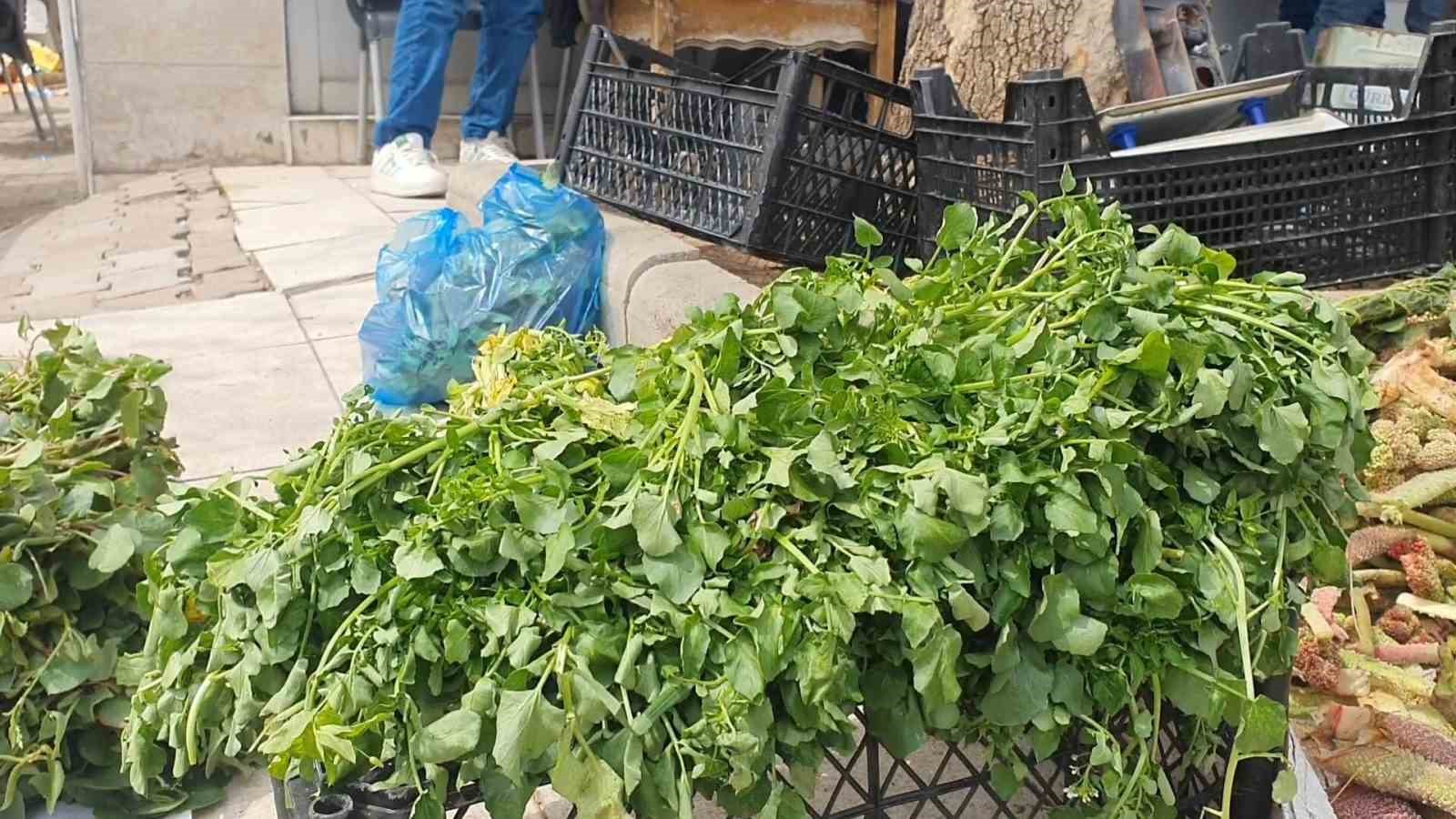 Elazığ&rsquo;da bahar otları tezgahlarda yerini aldı
