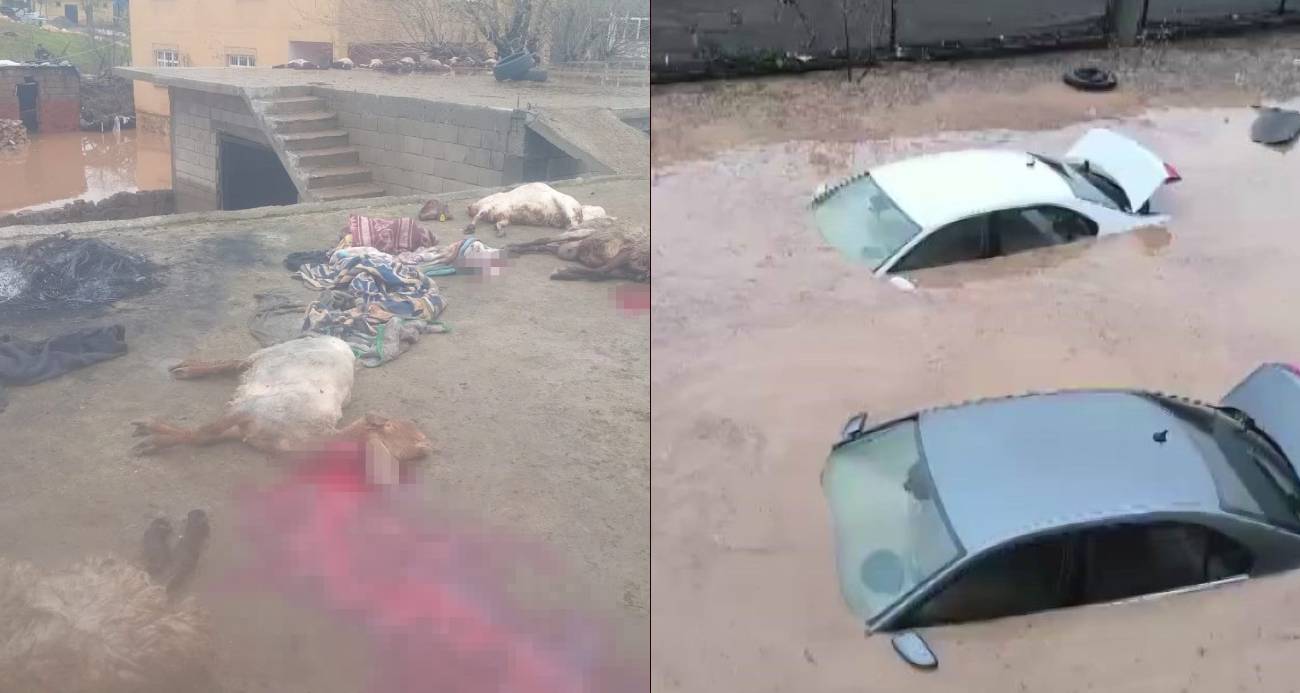 Siirt&rsquo;te ara&ccedil;lar sel sularında kayboldu, onlarca hayvan telef oldu