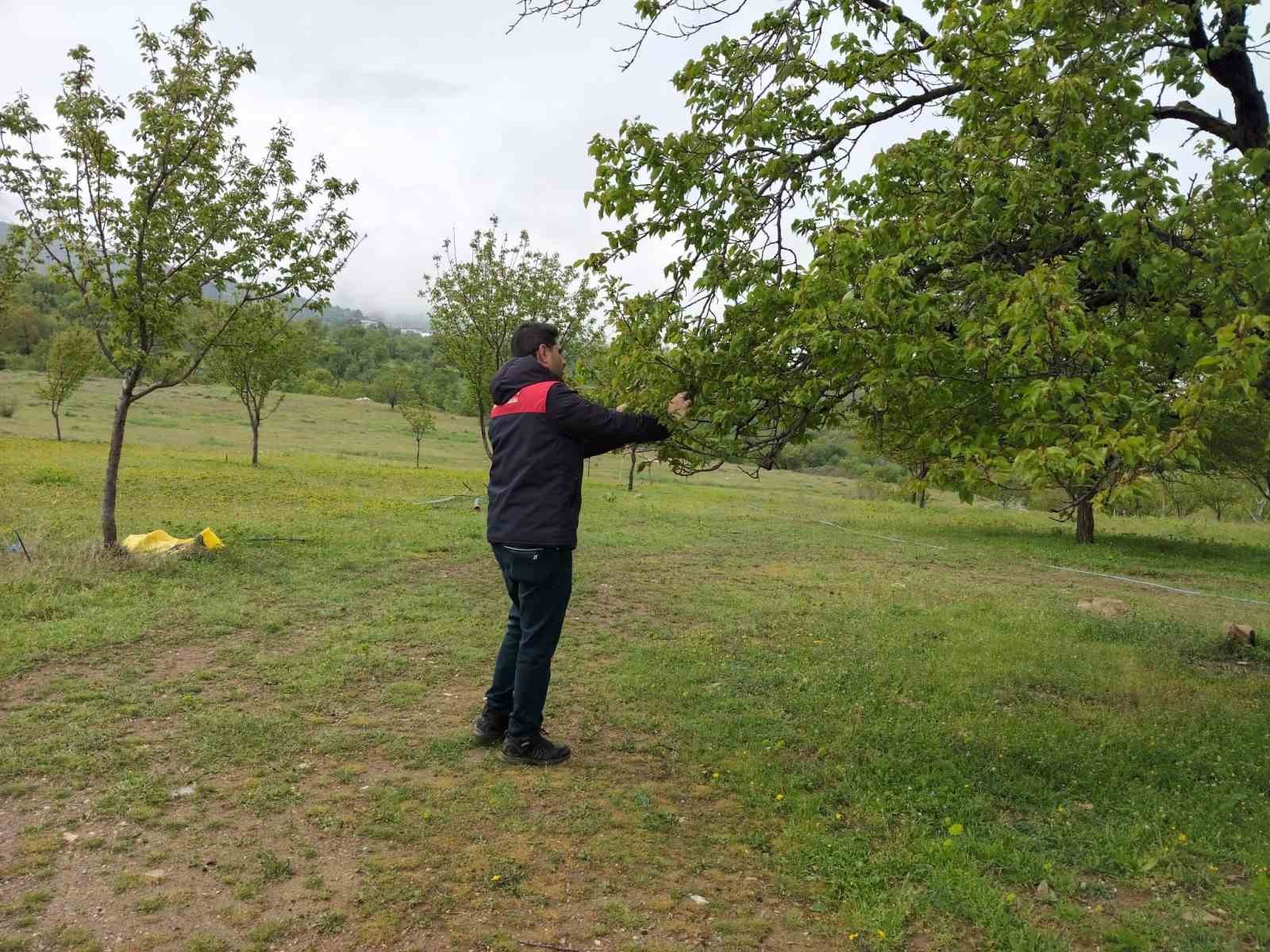 Malatya&rsquo;da dolu sonrası hasar tespit &ccedil;alışmaları başlatıldı
