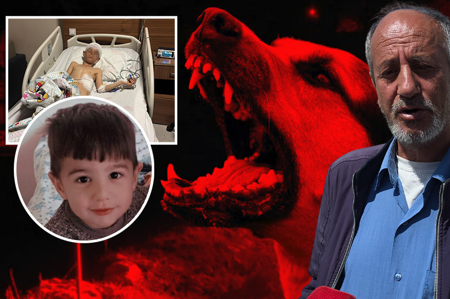 K&ouml;pek dehşetinin g&ouml;r&uuml;nt&uuml;leri ortaya &ccedil;ıktı