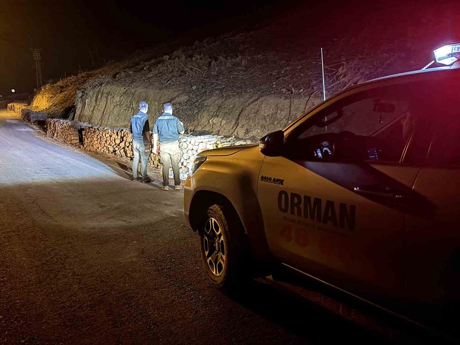Kahramanmaraş&rsquo;ta orman ekipleri yeşil vatan i&ccedil;in sahada