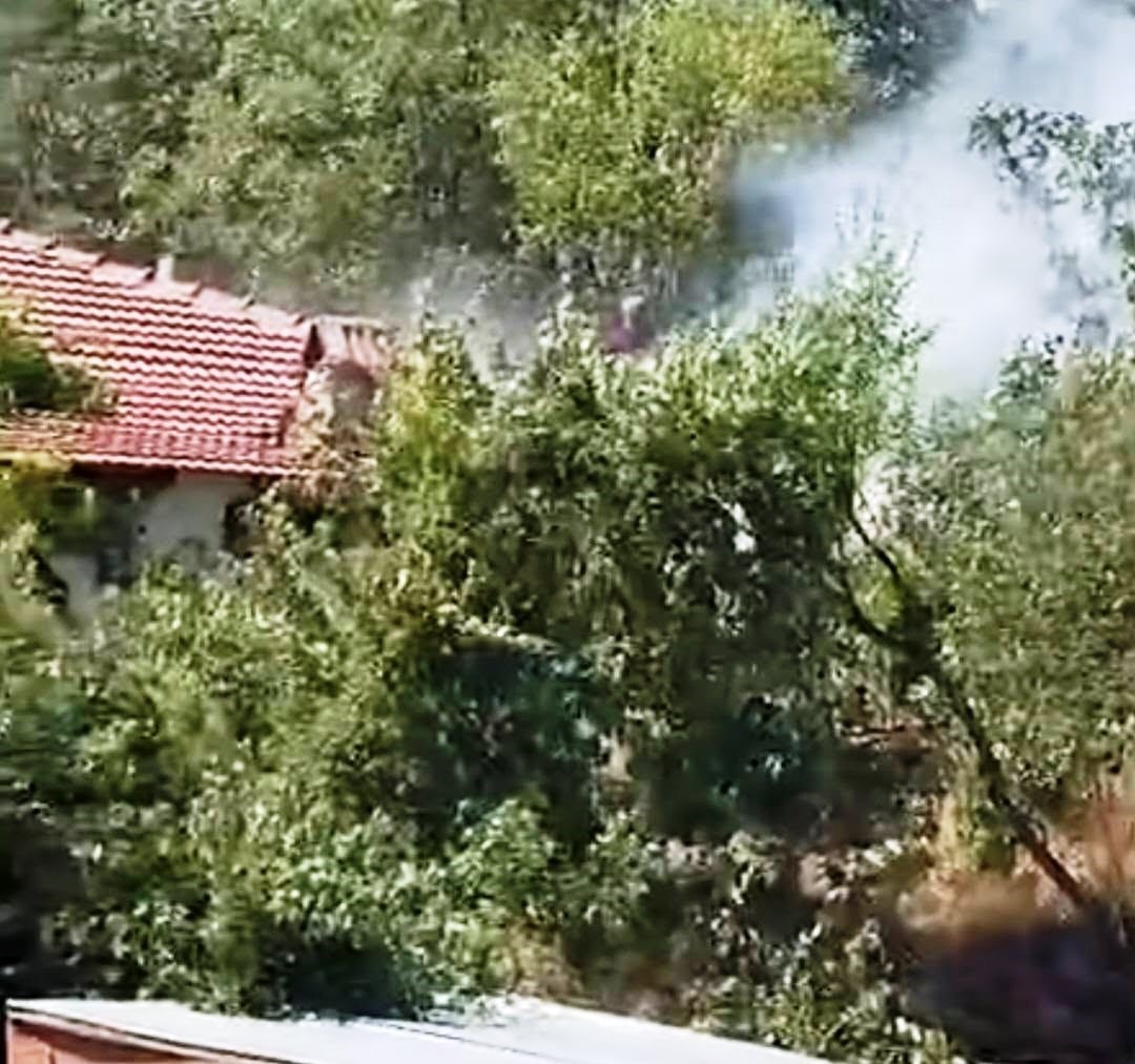 Emet’teki yangın kontrol altına alındı, ormana sıçraması önlendi