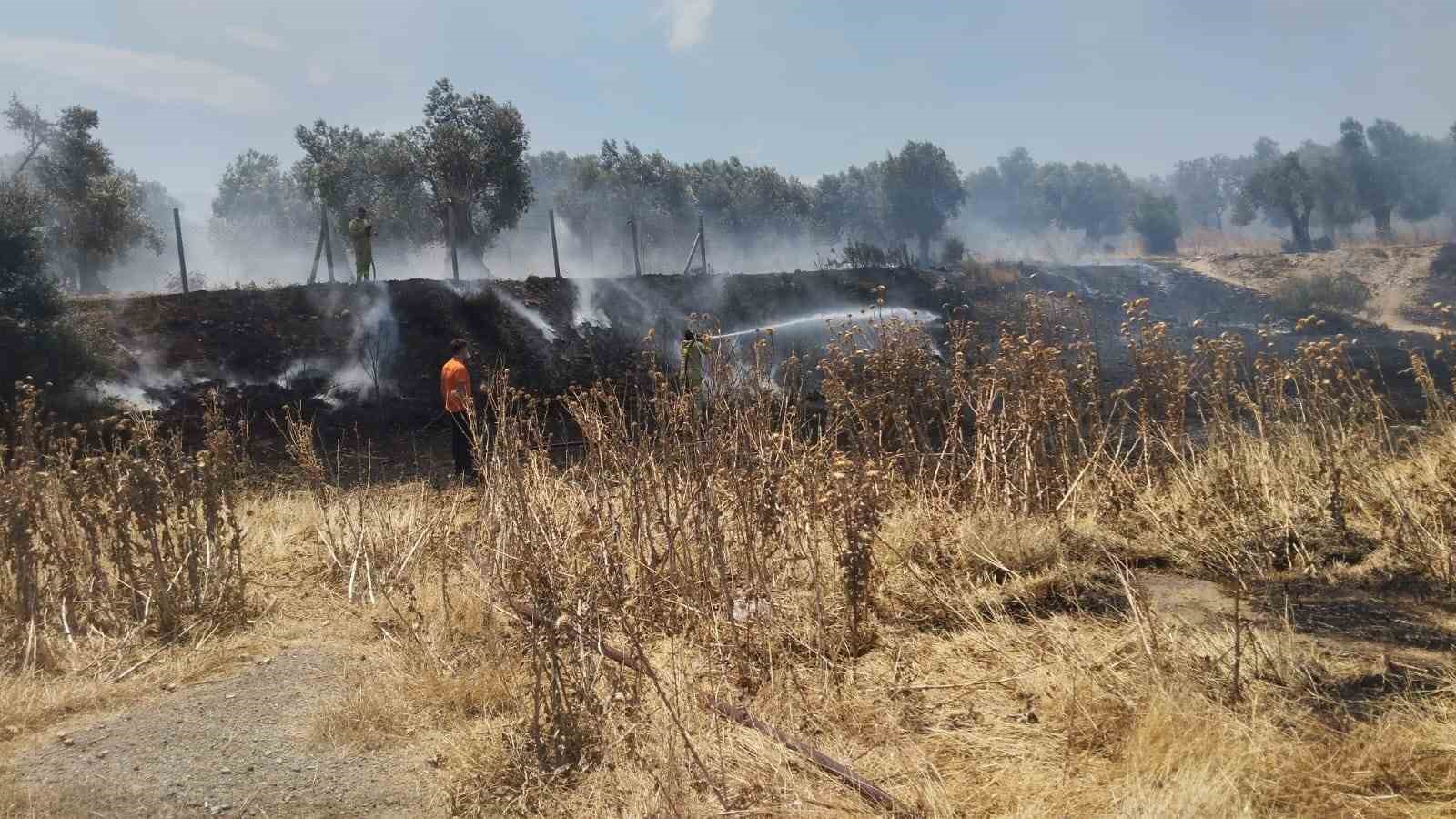 Burhaniye’de örtü yangını zeytinliklere sıçramadan kontrol altına alındı