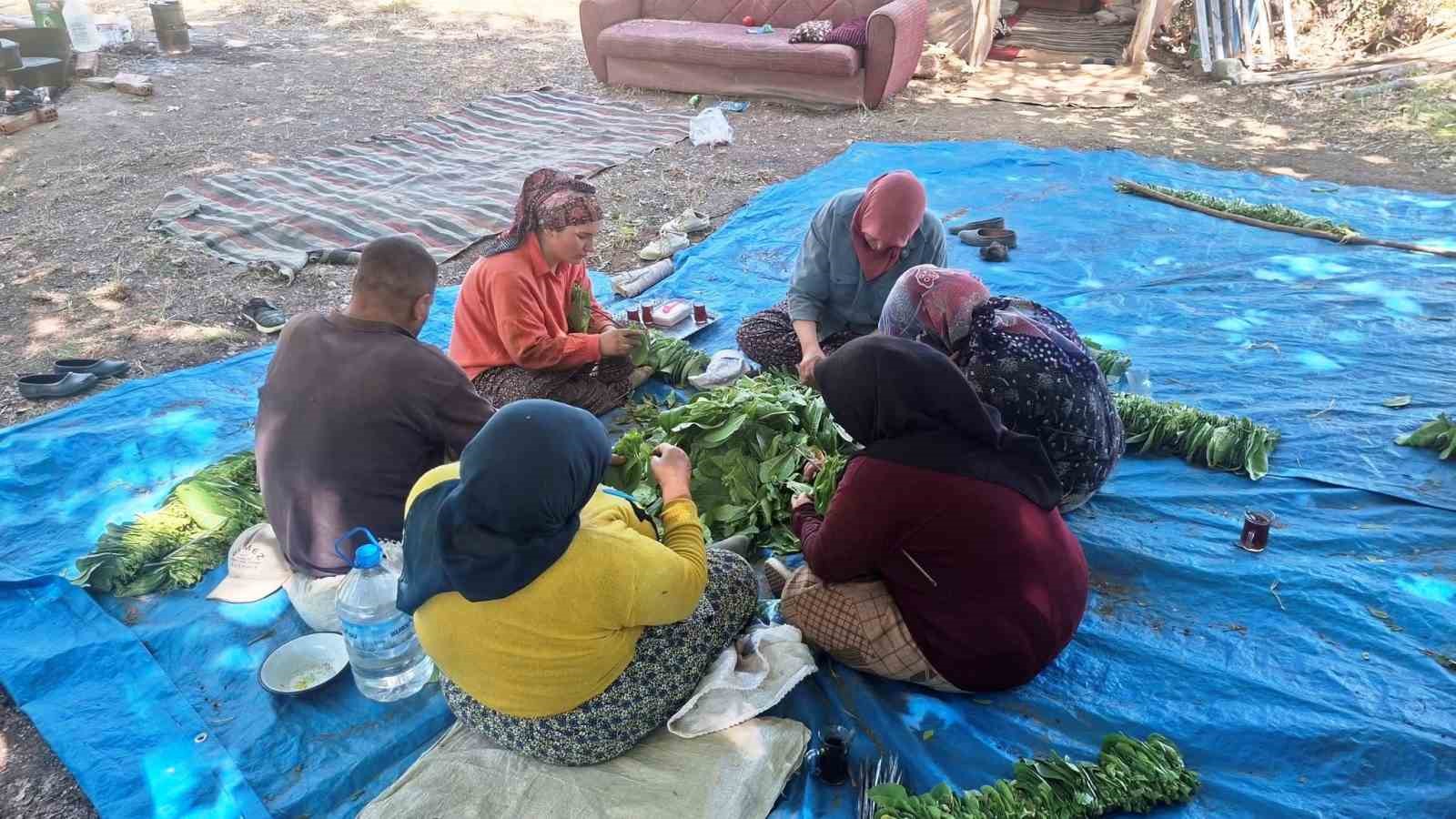 T&uuml;rkiye&rsquo;nin kaliteli t&uuml;t&uuml;n&uuml; tarihe karışıyor