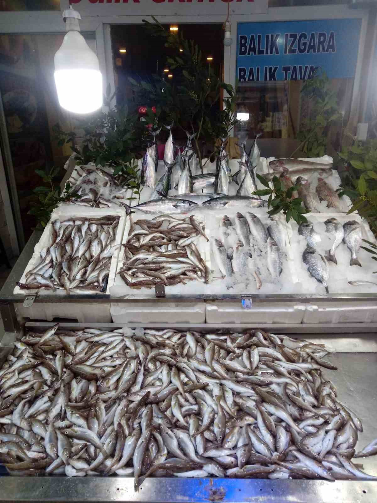 Karadeniz’de sezonun ilk balık avı: Ağlardan mezgit çıktı