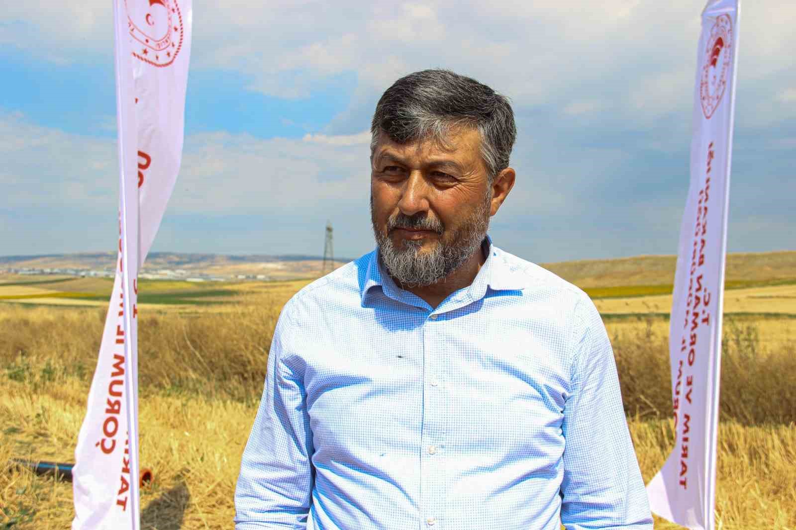 Çorum’da yerli ve milli buğday ’kirve’nin ilk hasadı yapıldı