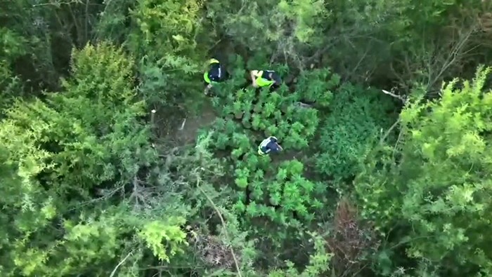 Dinlenme tesisine terk edilmiş halde bırakılan otomobildeki 3 şırınga zehir tacirini ele verdi