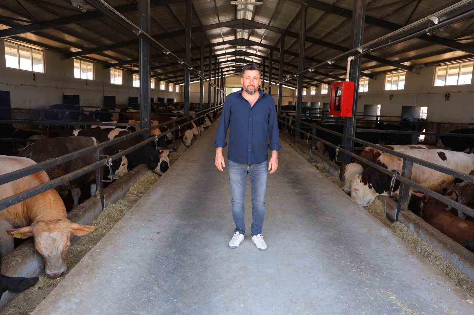 Ahırların elektrik işini yaparken, devlet desteğiyle besi çiftliği kurdu