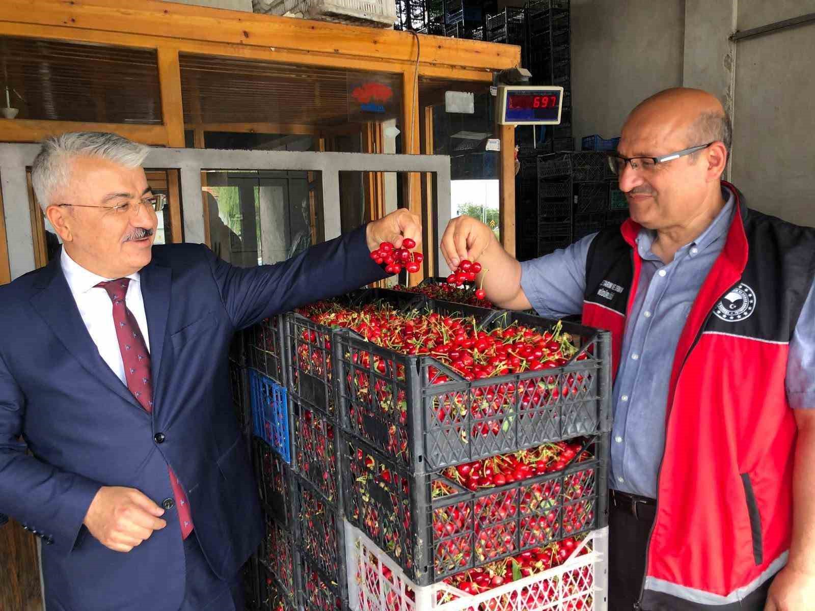 Akşehir Kirazı&rsquo;nın geleceği sahada değerlendirildi