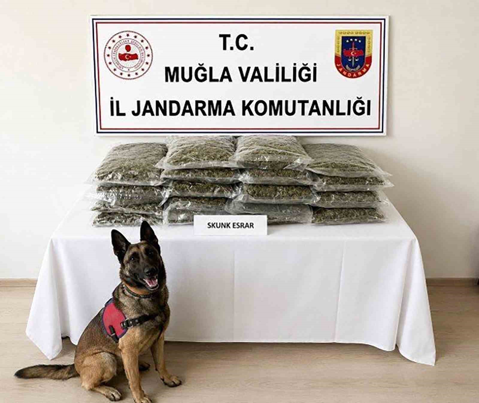 Jandarmadan uyuşturucuya geçit yok