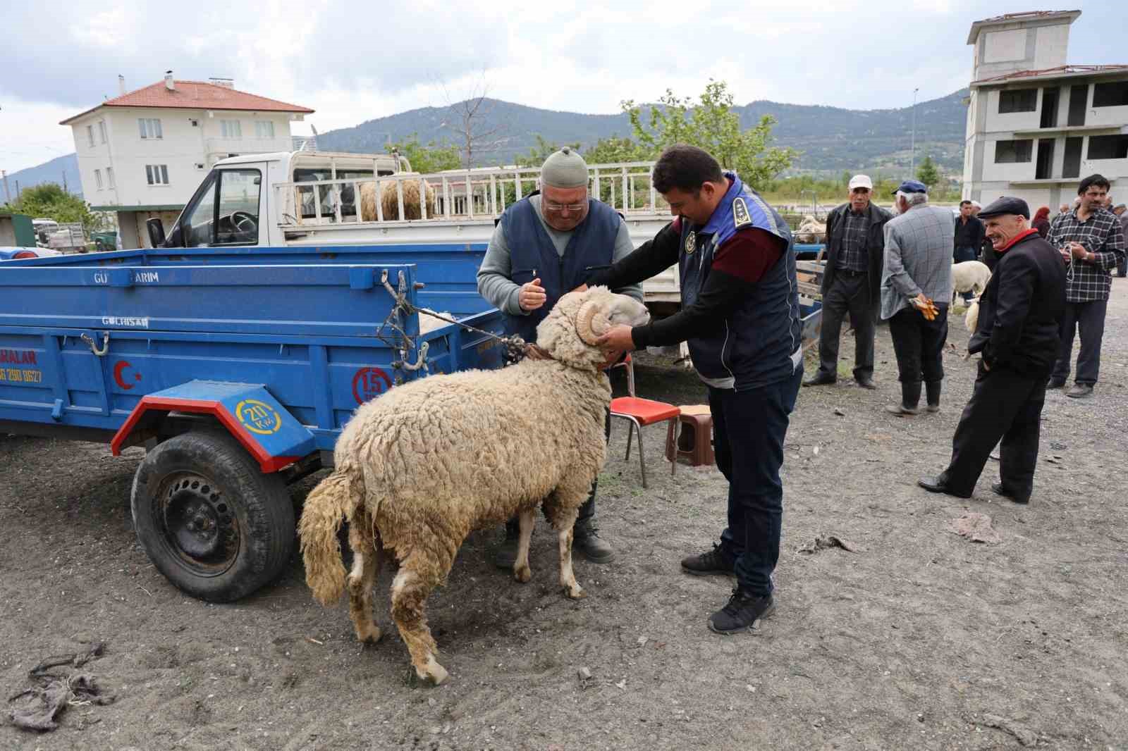 &Ccedil;ameli Kurban Pazarında bayram yoğunluğu ve sıkı denetim başladı