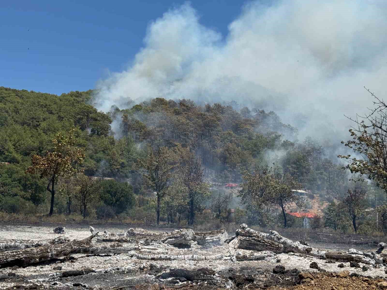 Fethiye&rsquo;de orman yangınını s&ouml;nd&uuml;rme &ccedil;alışmaları s&uuml;r&uuml;yor