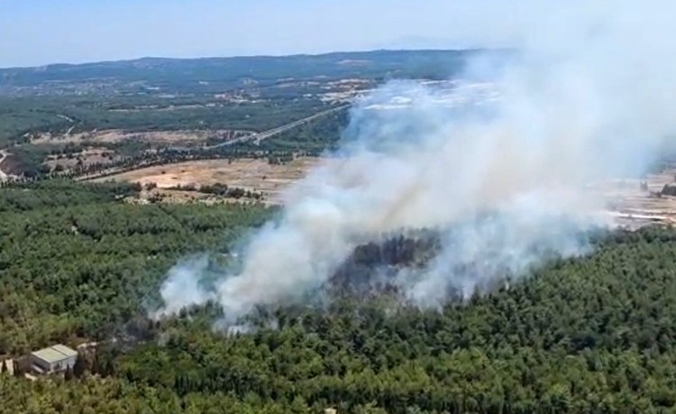 İzmir Buca’da orman yangını çıktı