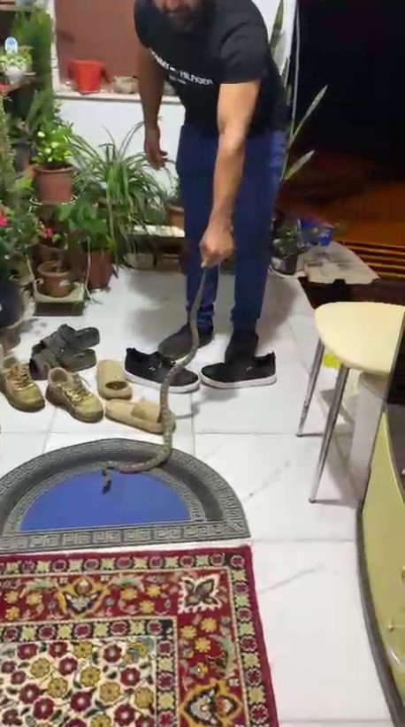 Evine giren yılanı "Evime gelme bak, kafanı ezerim" diyerek doğaya bıraktı