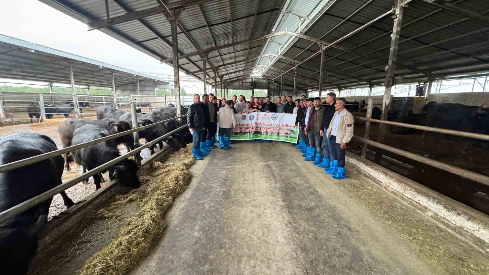 Kayseri’de manda yetiştiriciliğine bütüncül destek