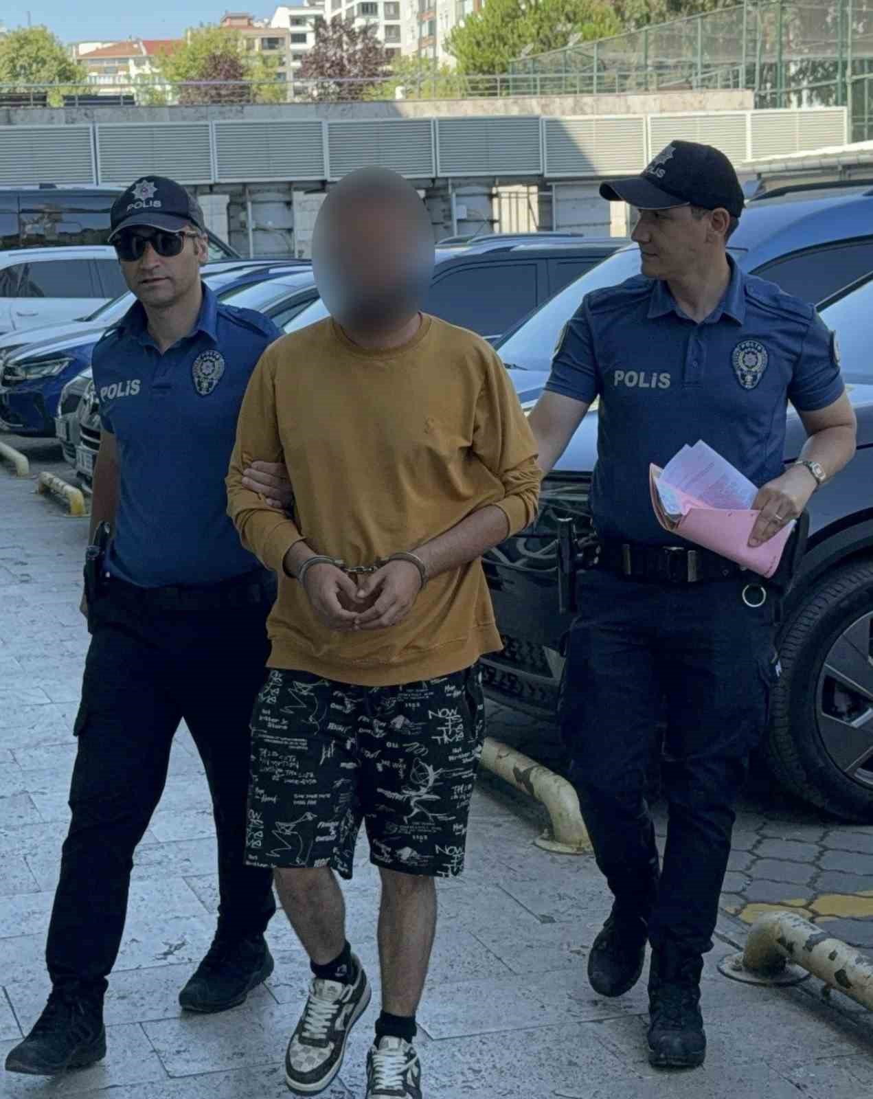 Kediye tekme atarken kameraya yansıyan şahıs yakalandı