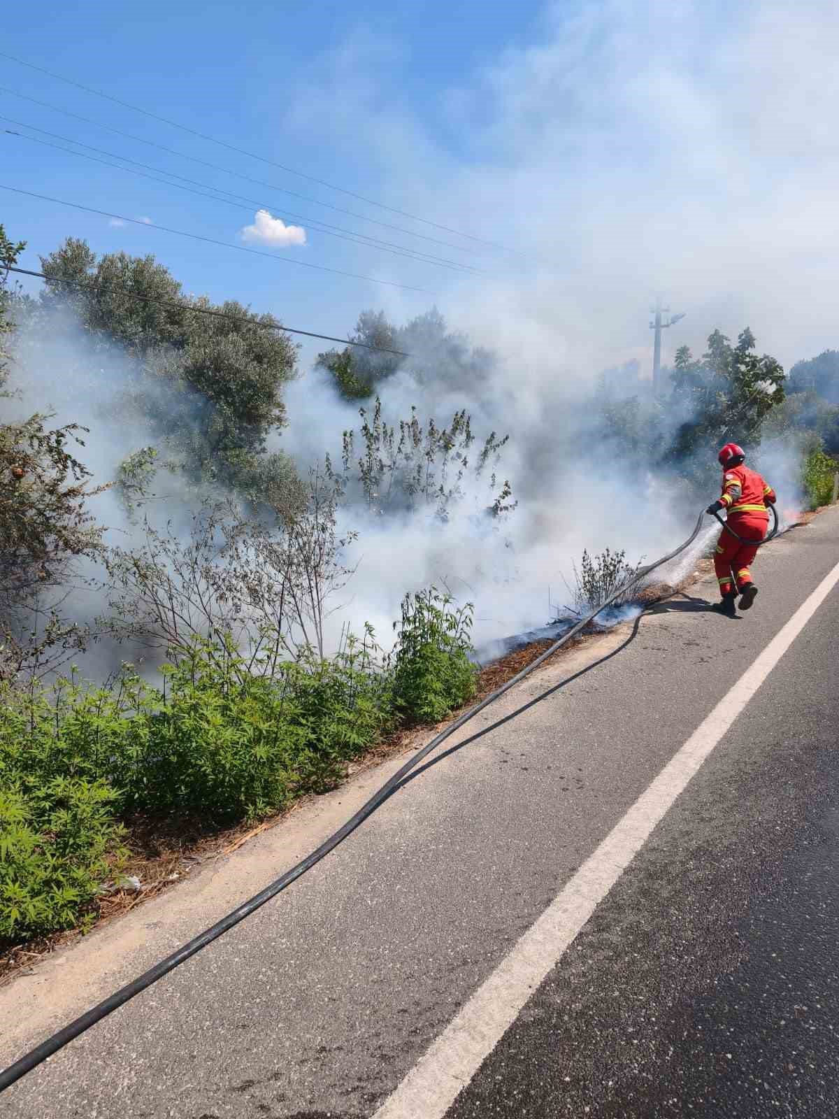Ula&rsquo;da yol kenarında başlayan alevler korkuttu