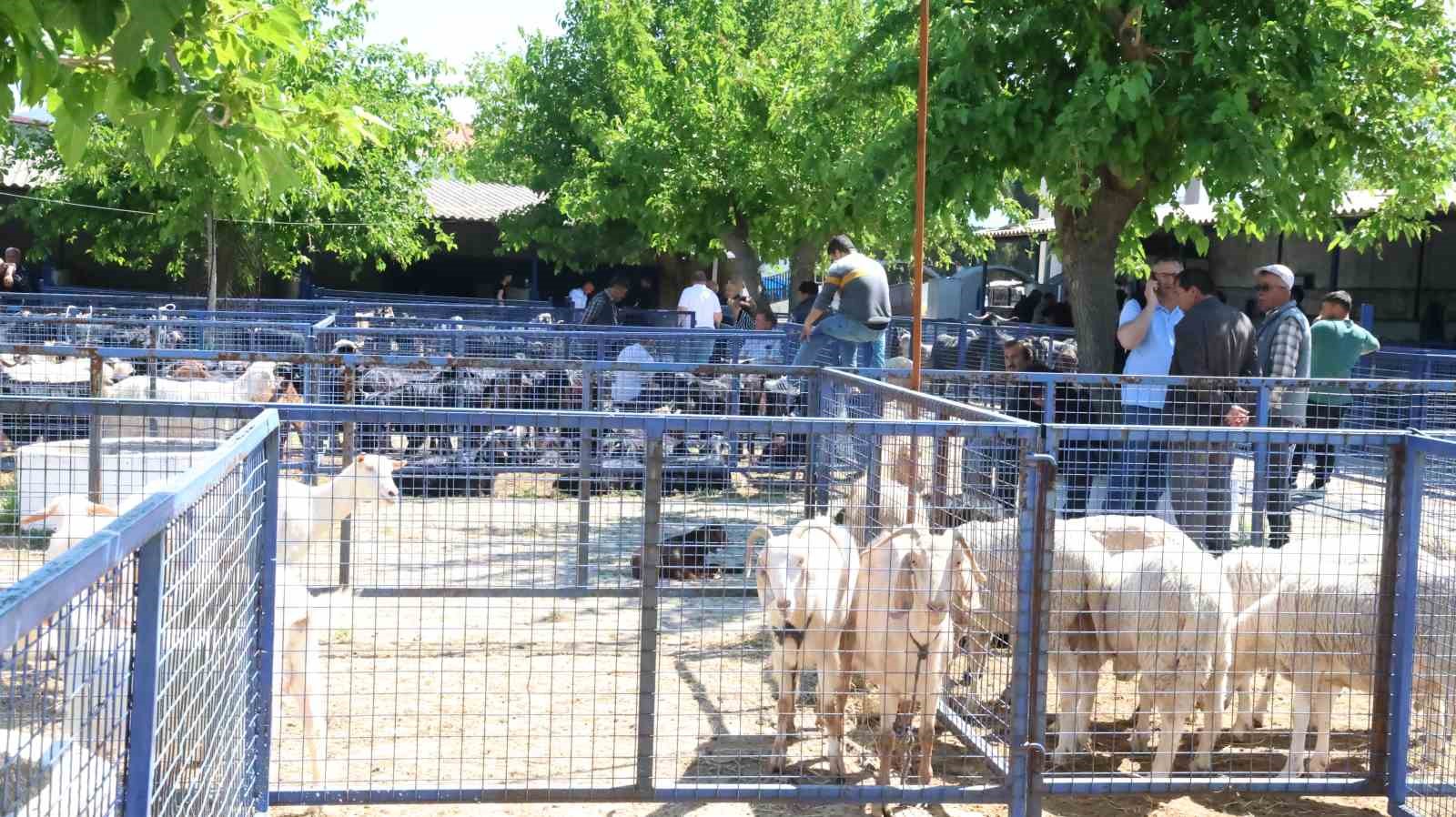 Muğla’da kurbanlık satışları devam ediyor