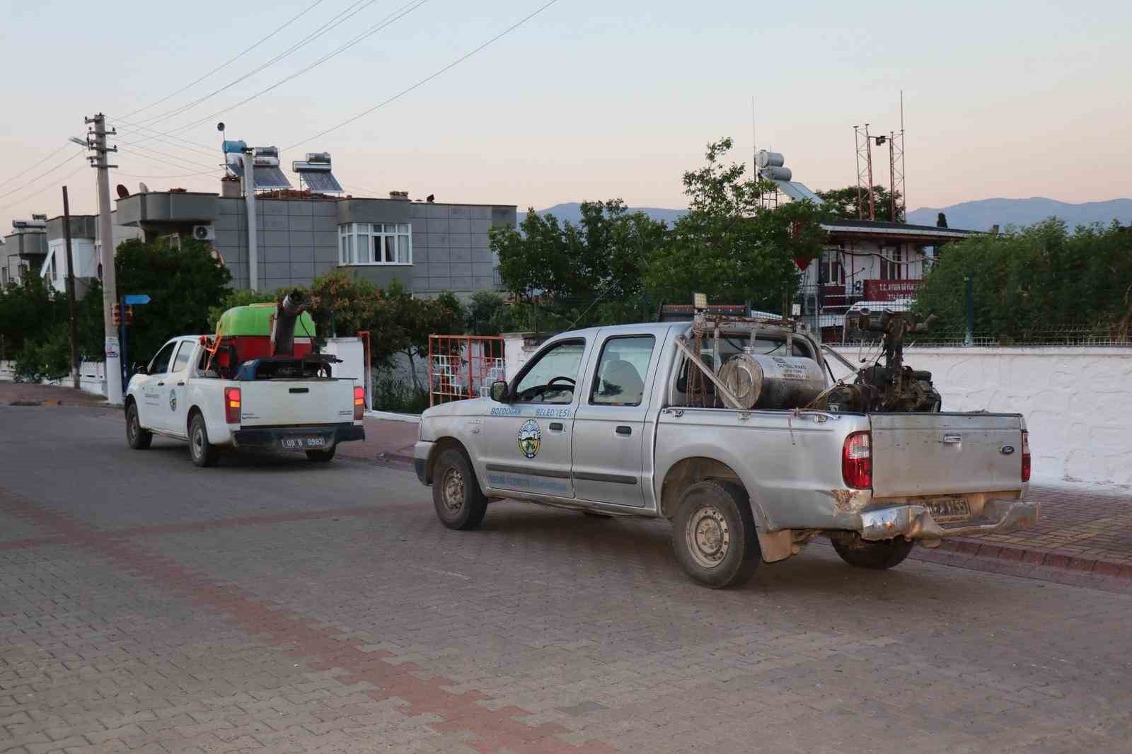 Bozdoğan’da sivrisinekle mücadele başladı