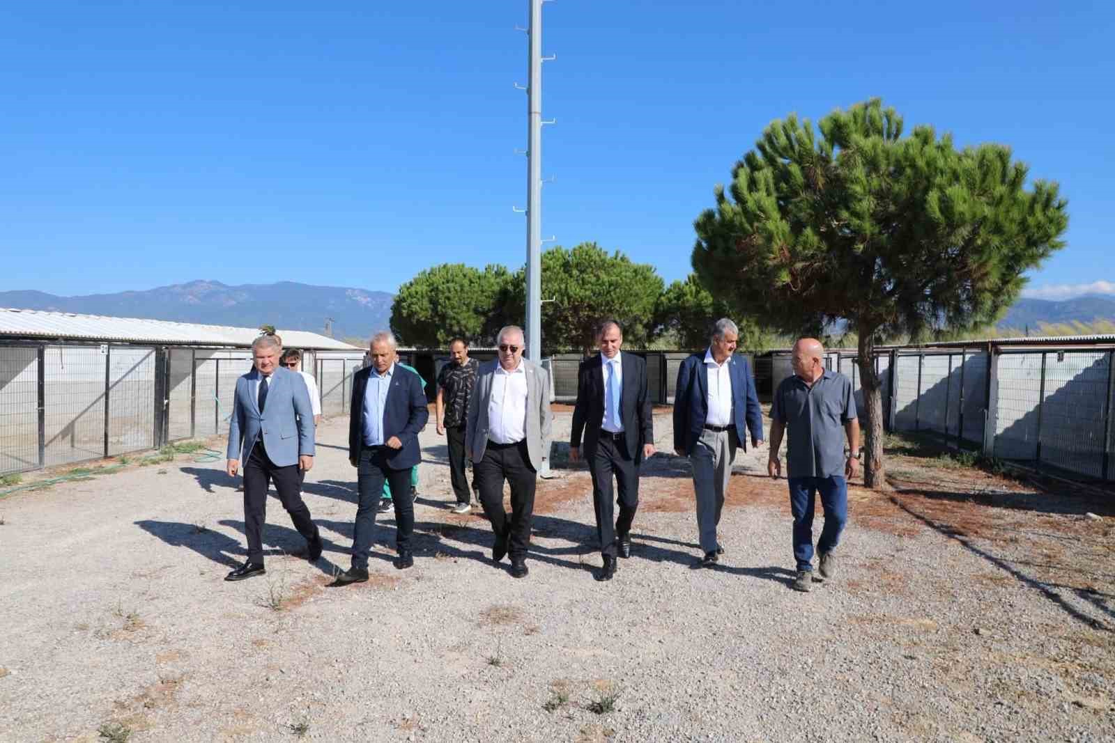 Kaymakam Zafer Engin, Sokak Hayvanları Bakım ve Rehabilitasyon Merkezi’ni ziyaret etti