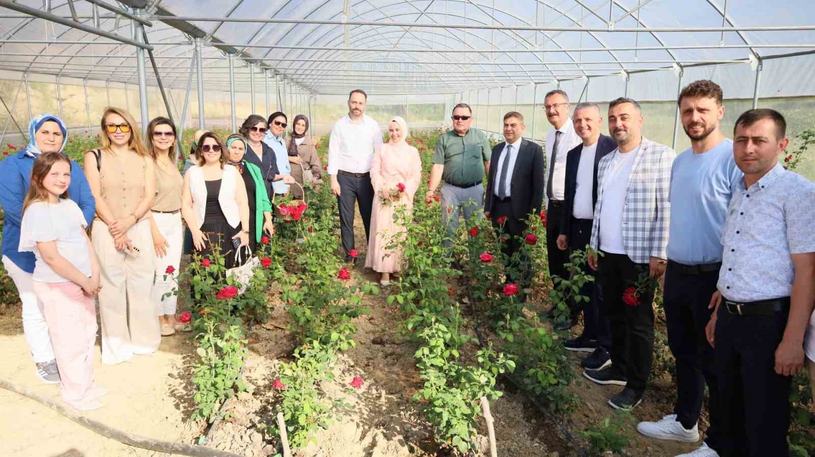 Kadın girişimci hibe desteğiyle Kocaeli’nin ilk gül serasını kurdu