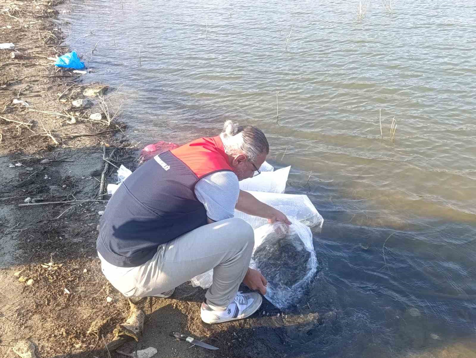 Göletlere 80 bin yavru balık bırakıldı