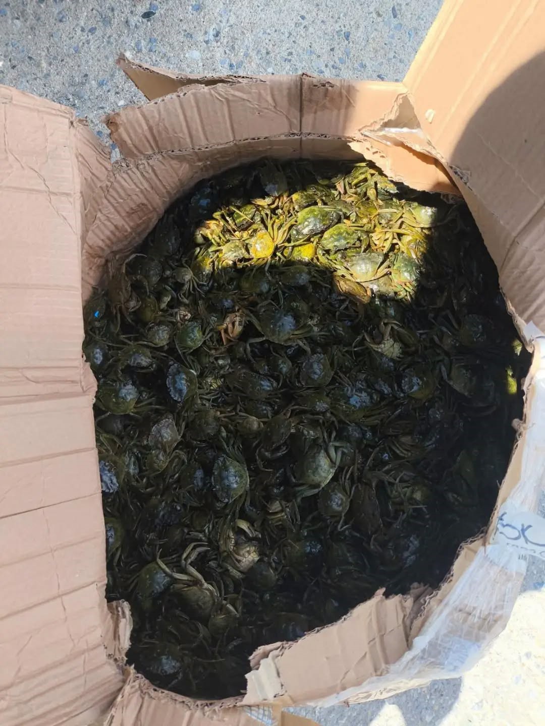 S&ouml;ke&rsquo;de ka&ccedil;ak su &uuml;r&uuml;nleri nakline ge&ccedil;it verilmedi