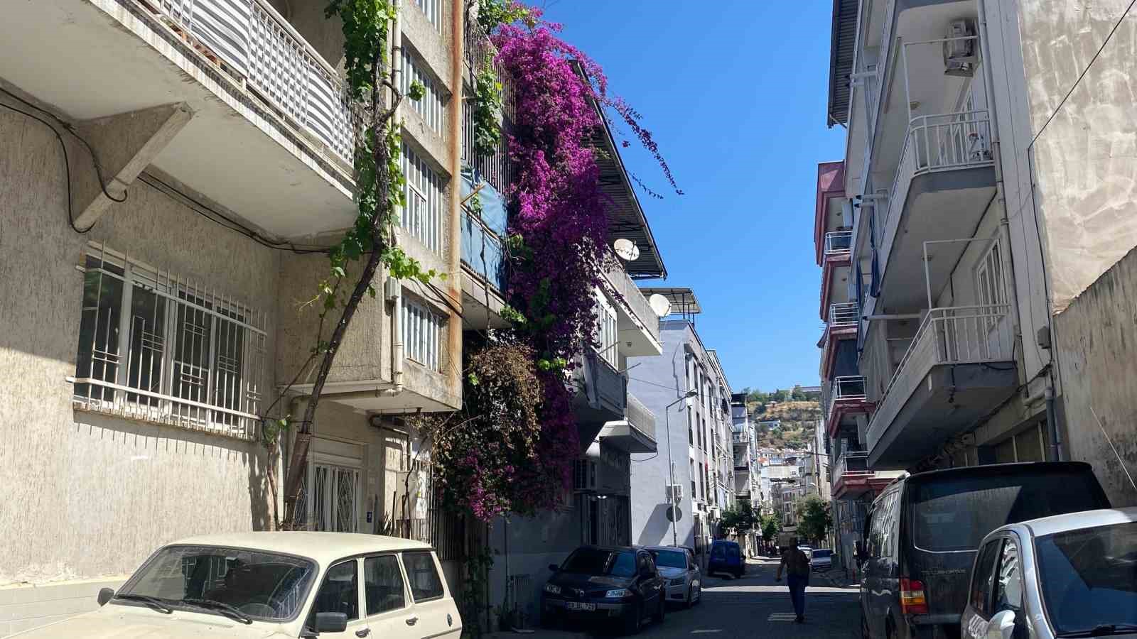 Aydın&rsquo;ın cadde ve sokakları &ccedil;i&ccedil;ek a&ccedil;tı