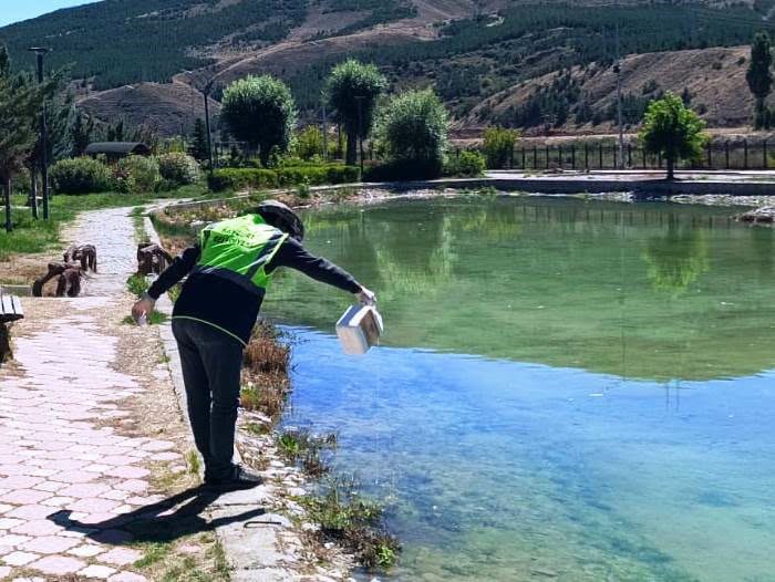 Bayburt’ta sivrisinek ve haşerelere karşı ilaçlama sürüyor