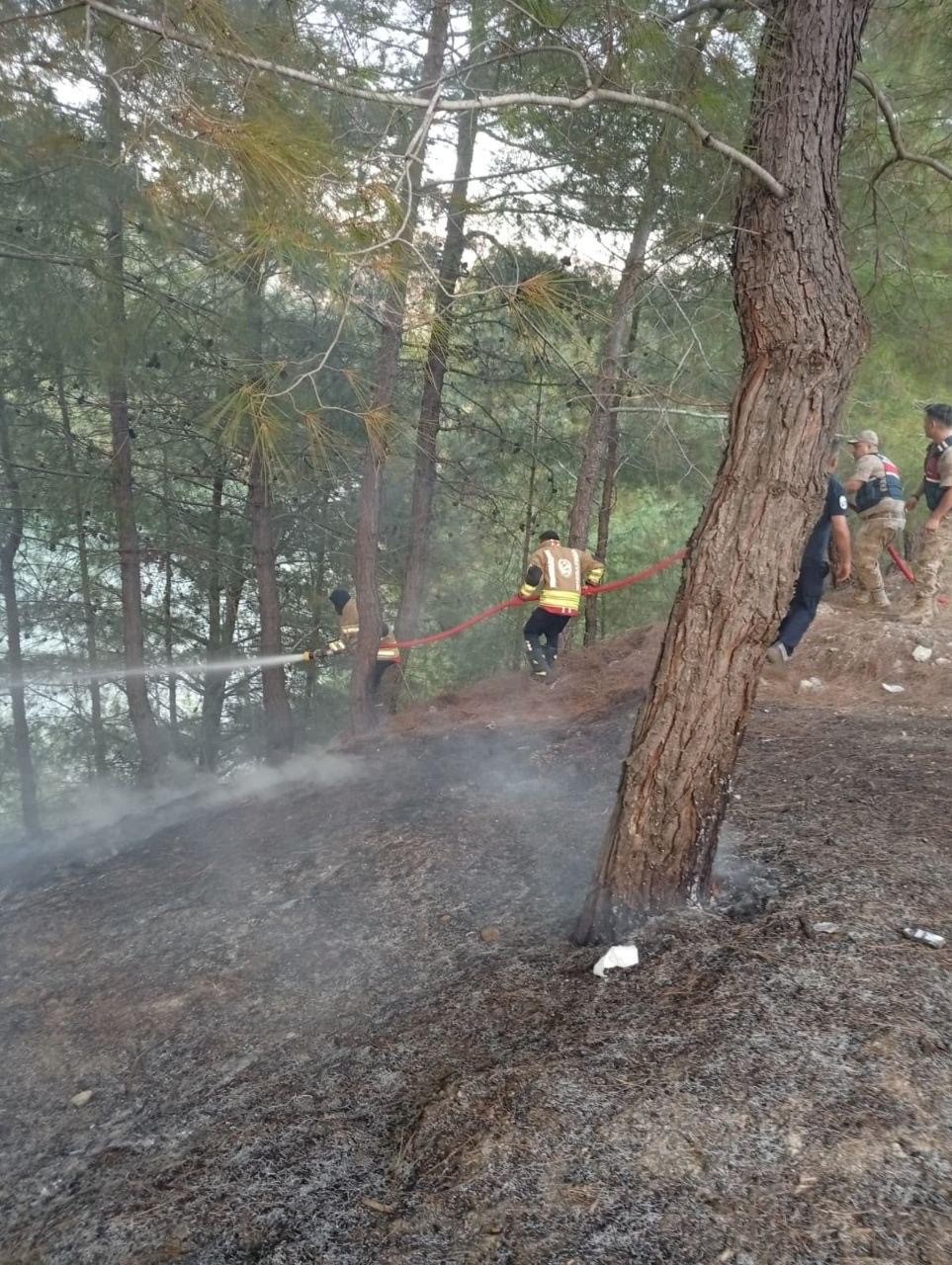 Yayladağı’nda ormanlık alan yangını kontrol altına alındı