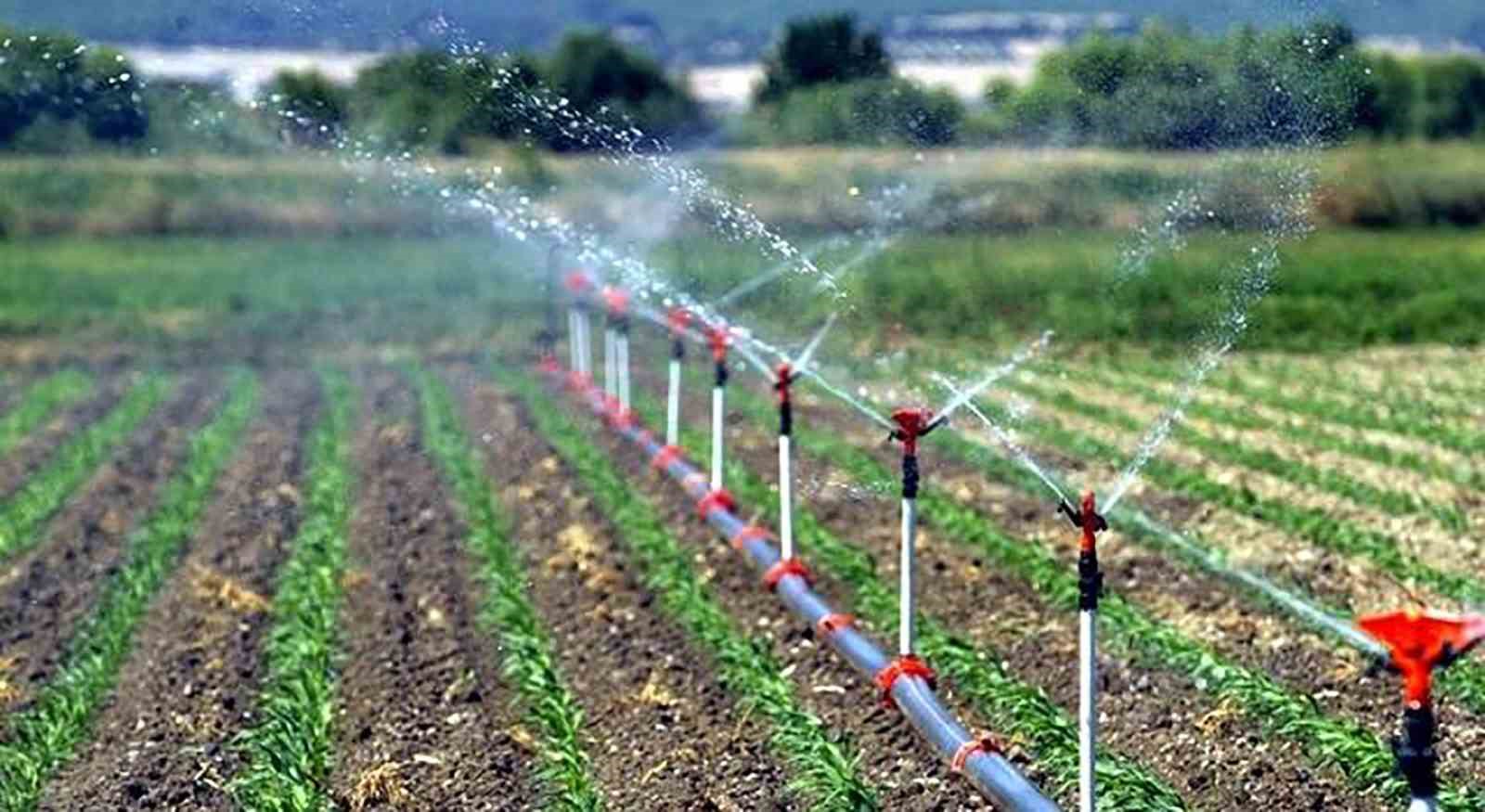 Kırsal Kalkınma Yatırımları Desteklemelerinde başvuru süresi 30 Haziran’a uzatıldı