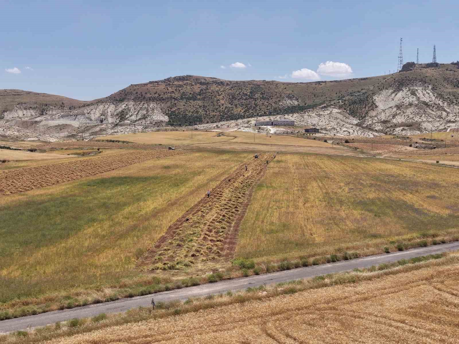 Mardin’de çiftçilerin yoğun mesaisi başladı