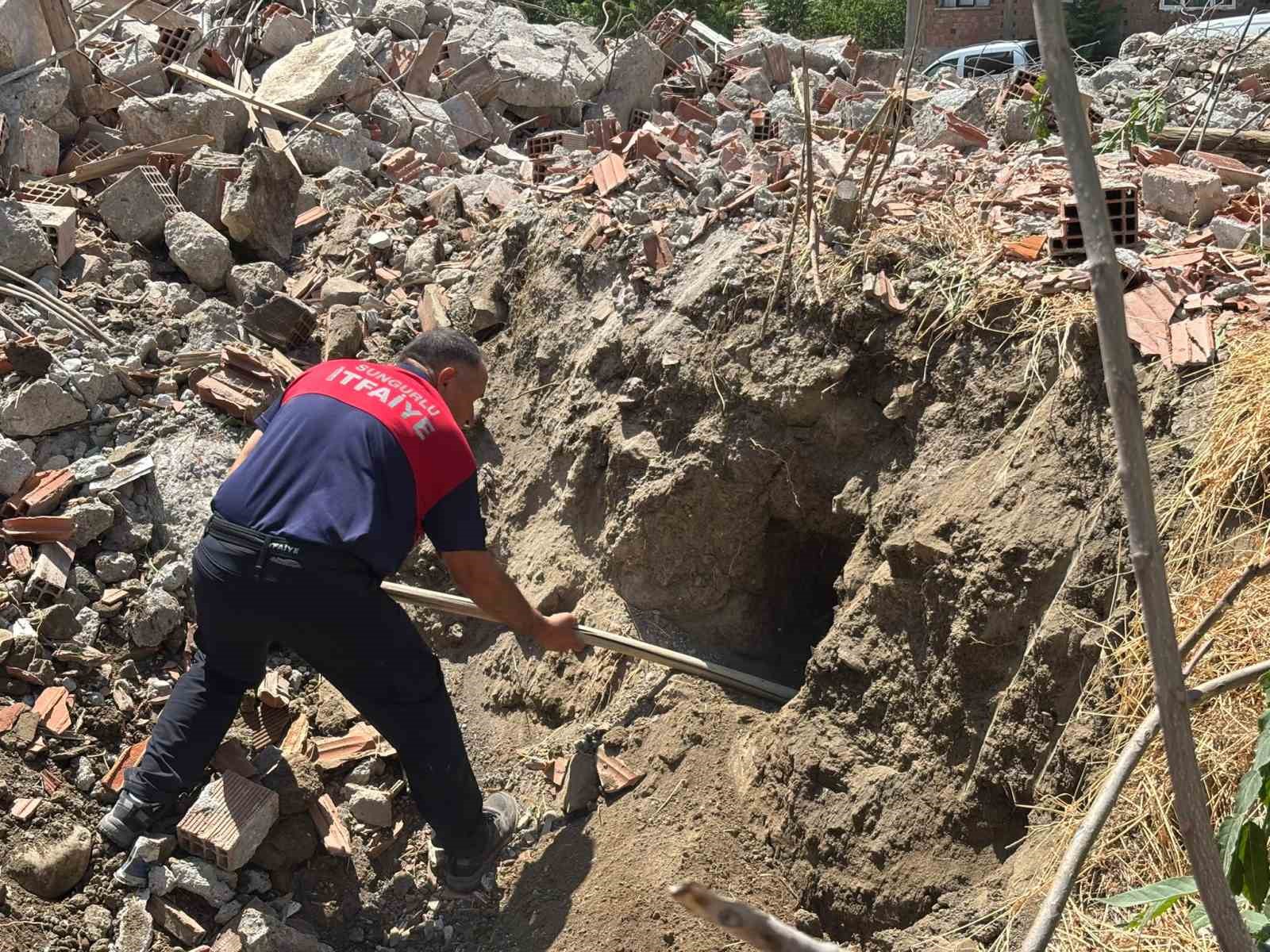 Yıkım halindeki binada mahsur kalan 8 yavru köpeği itfaiye kurtardı