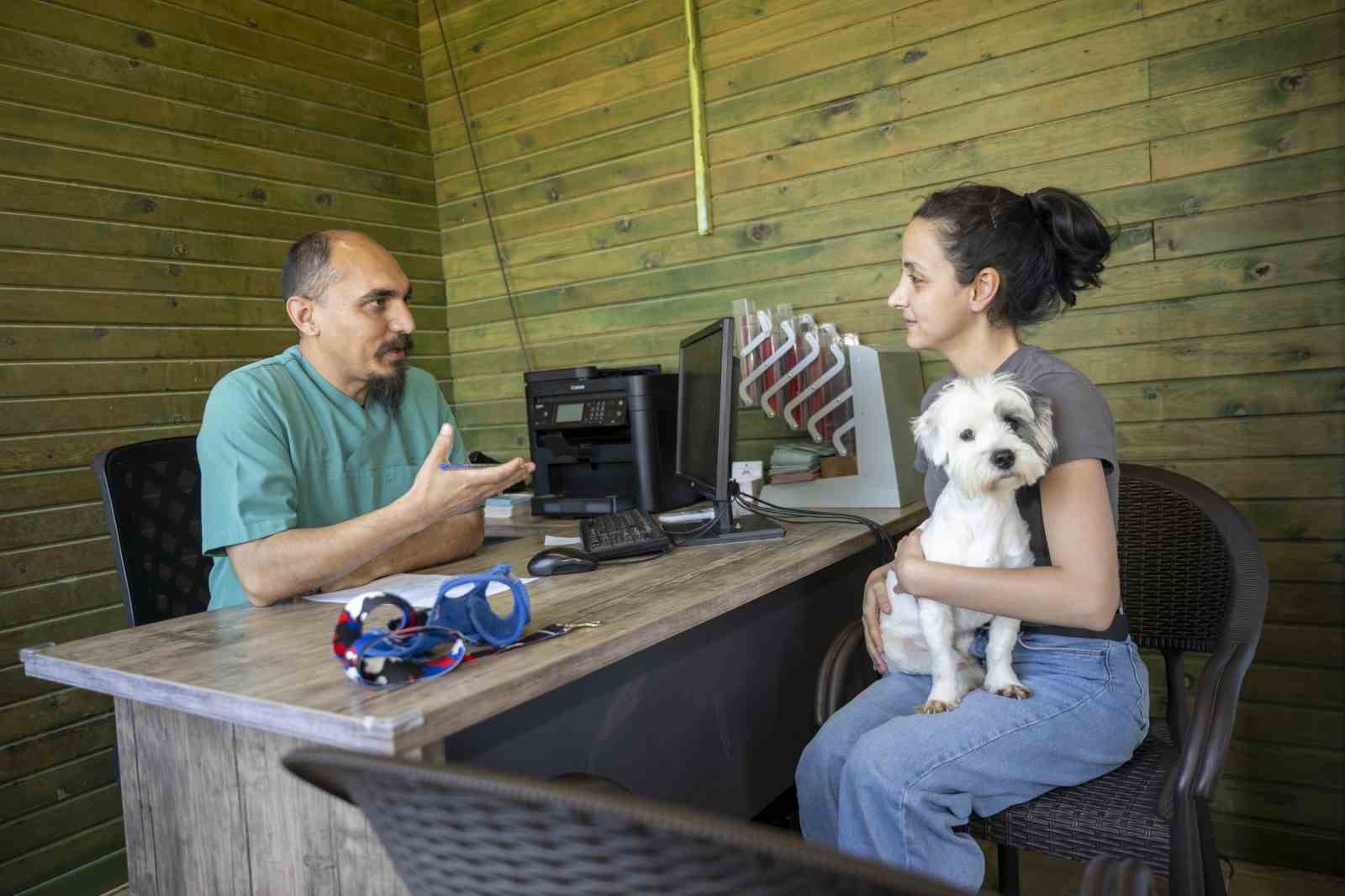 Mersin’de sahiplendirme kampanyasıyla bin 927 köpek yeni yuvasına kavuştu