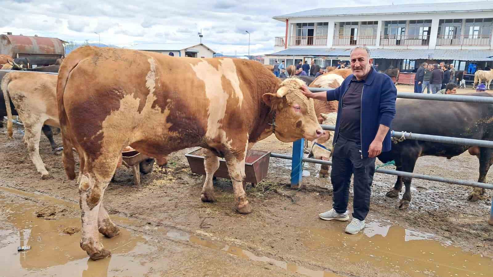 Şampiyon "&Ccedil;akır" 525 bin TL&rsquo;den satışta