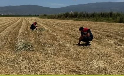 Aydın&rsquo;da kuraklıkla m&uuml;cadele &ccedil;alışmaları s&uuml;r&uuml;yor