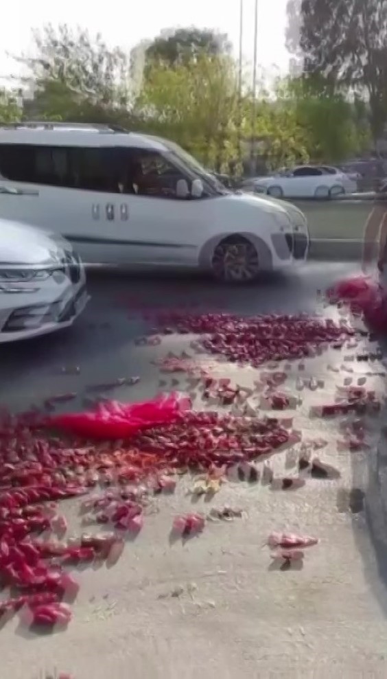 Kaldırım işgaline müdahale ettiler, ortalık biber tarlasına döndü