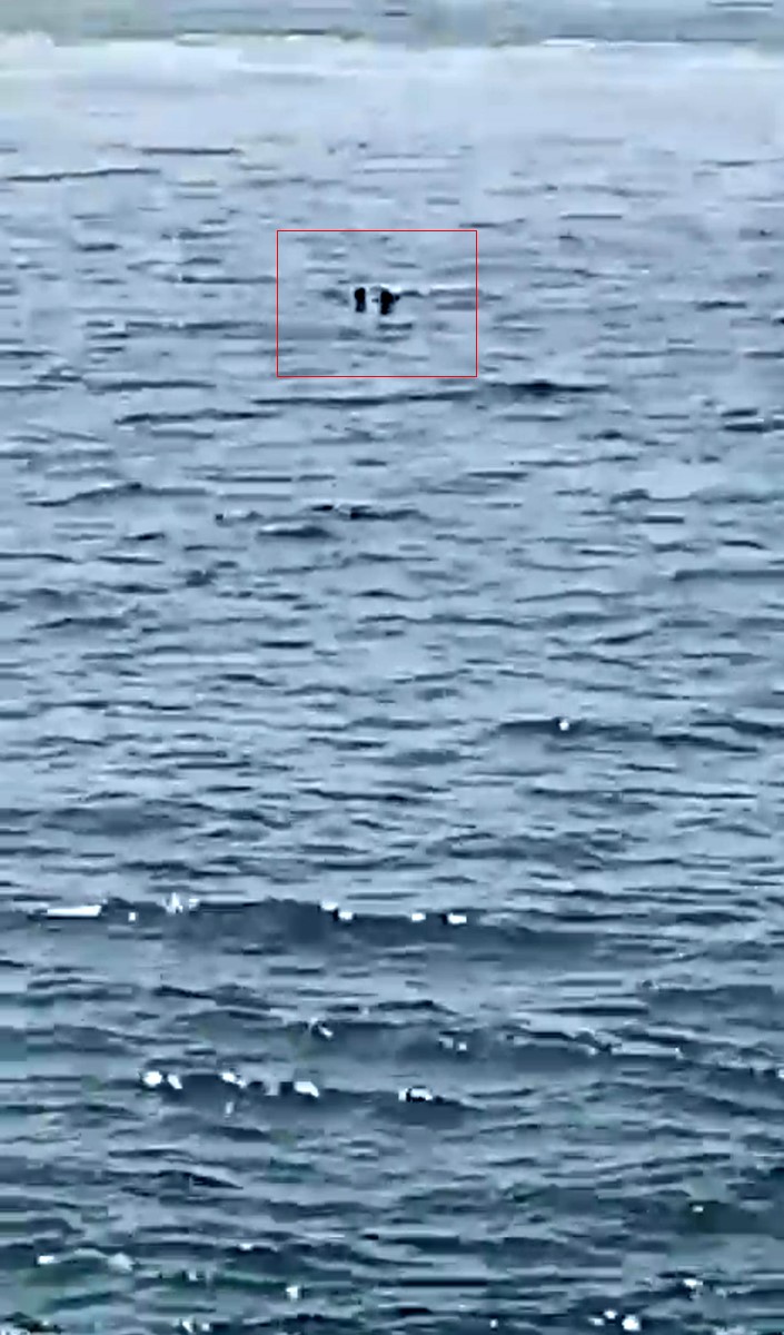 Feribottan denize düşen kişiye büfe çalışanından hayat kurtaran müdahale