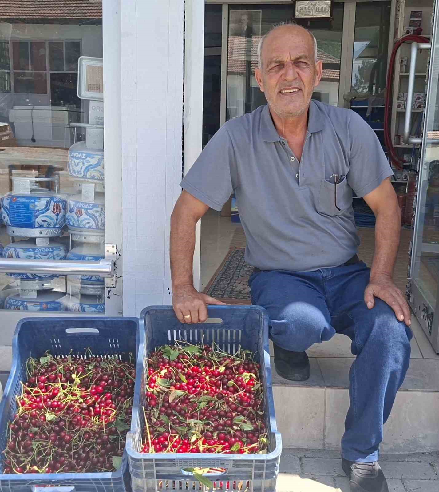 Hisarcık’ta vişne alımları başladı, üretici fiyatlardan memnun değil