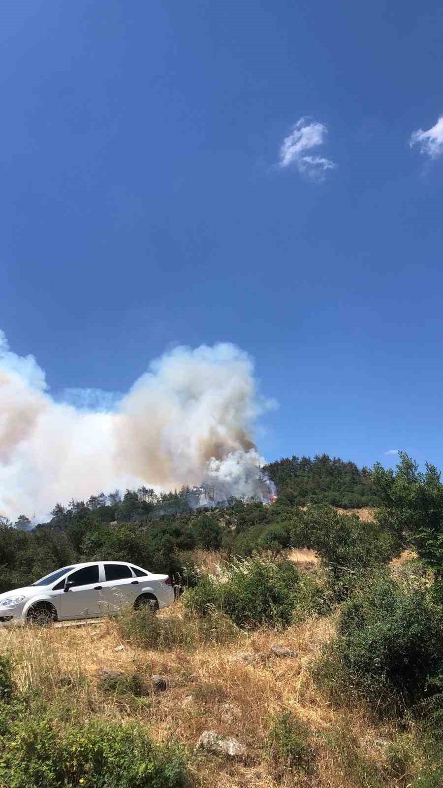 Balıkesir Kepsut’ta orman yangını
