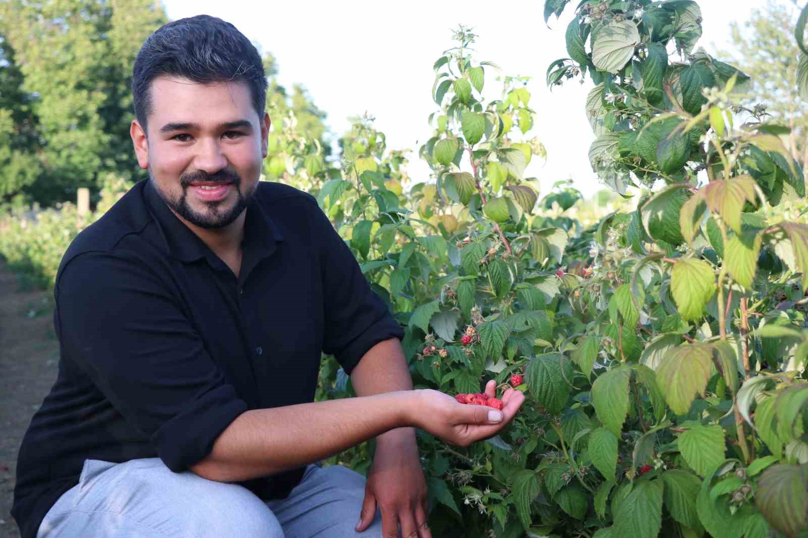 Bu tarlada istediğin kadar yiyip, topladığın kadar &ouml;d&uuml;yorsun