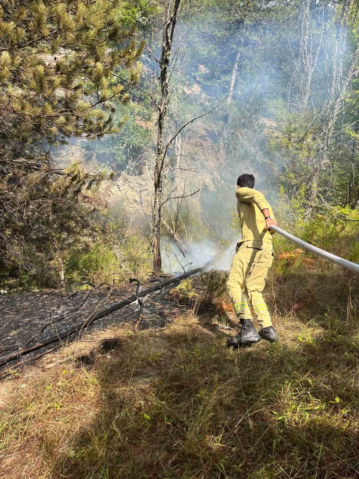 Bilecik&rsquo;te başlayan orman yangını kontrol altına alındı