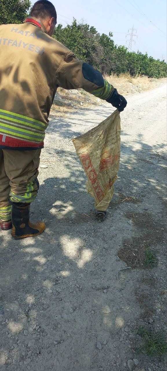 Erzin’de eve giren yılan yakalandı
